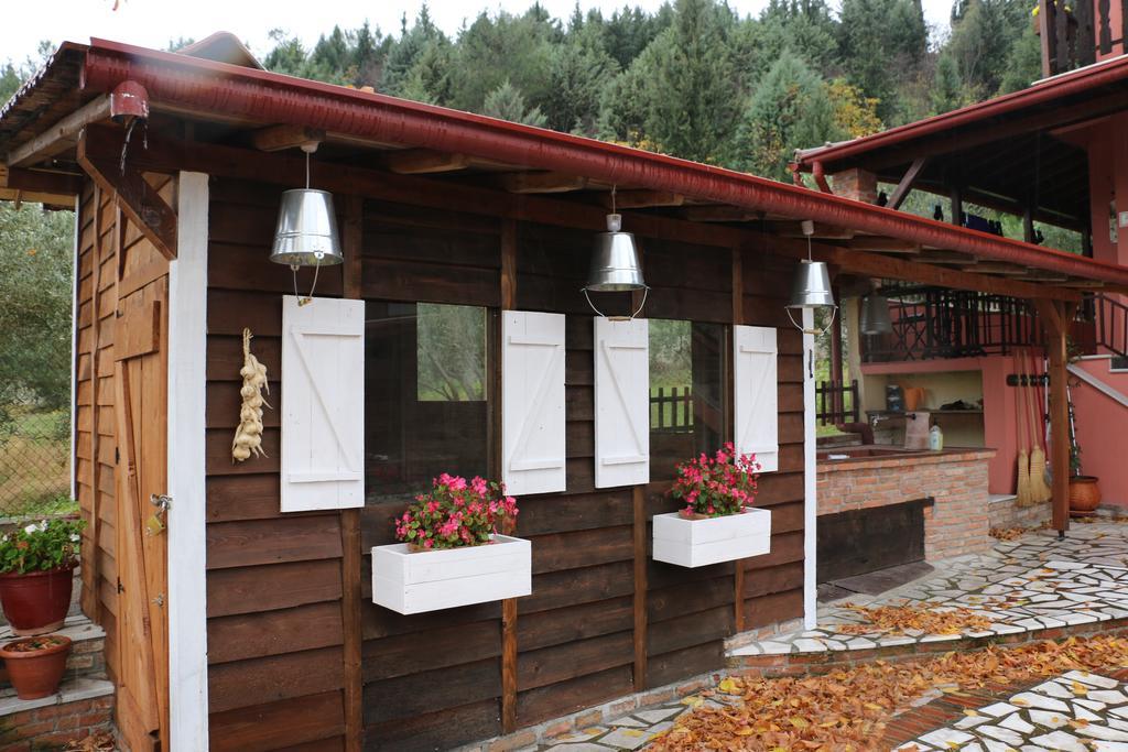 Traditional Guesthouse Τρίκαλα Εξωτερικό φωτογραφία
