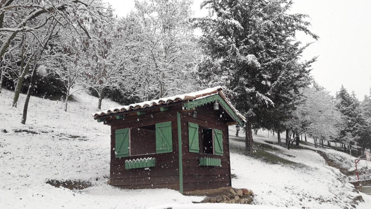 Traditional Guesthouse Τρίκαλα Εξωτερικό φωτογραφία